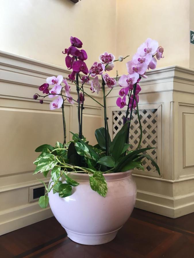 B&B Villino Margherita Róma Kültér fotó